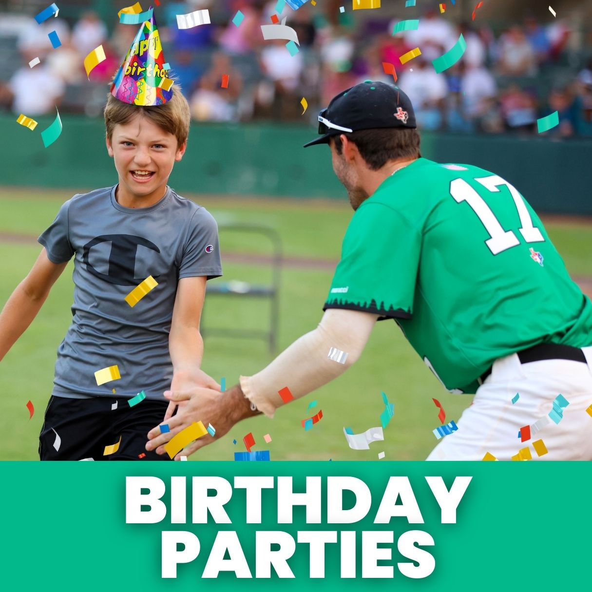 2025 BIRTHDAY PARTY AT THE BALLPARK
