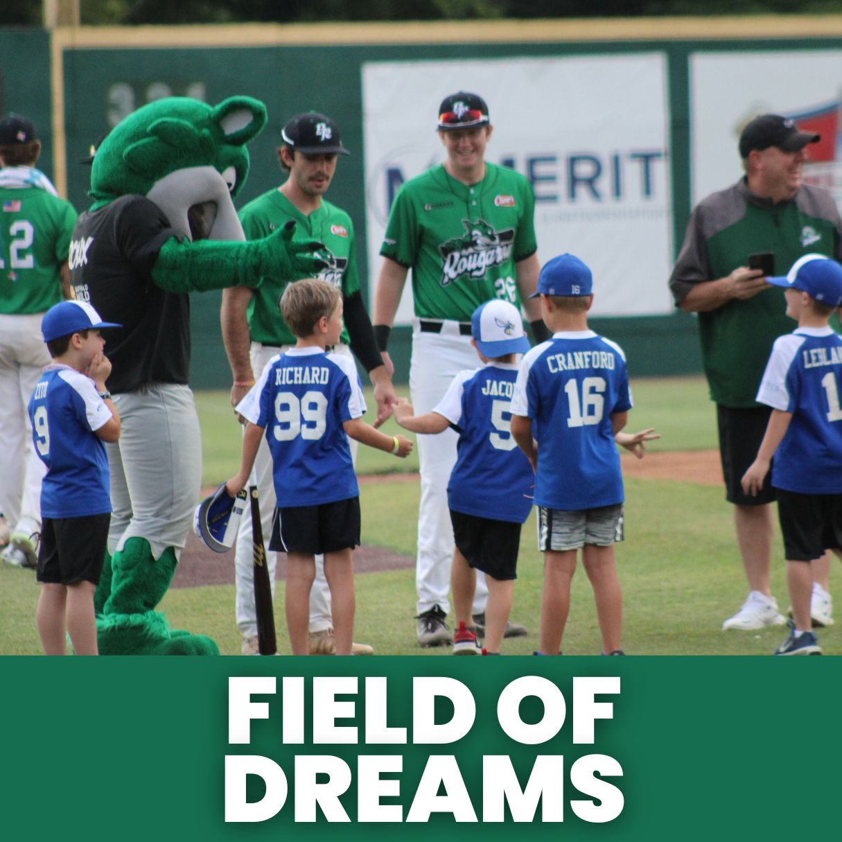 2025 FIELD OF DREAMS PACKAGE